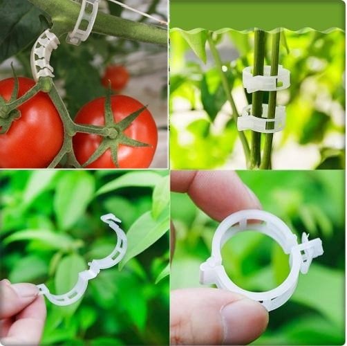 Domates Klipsi 1000 Adet Sera Bitki Klipsi Sebze Klipsi Domates Kelepçesi