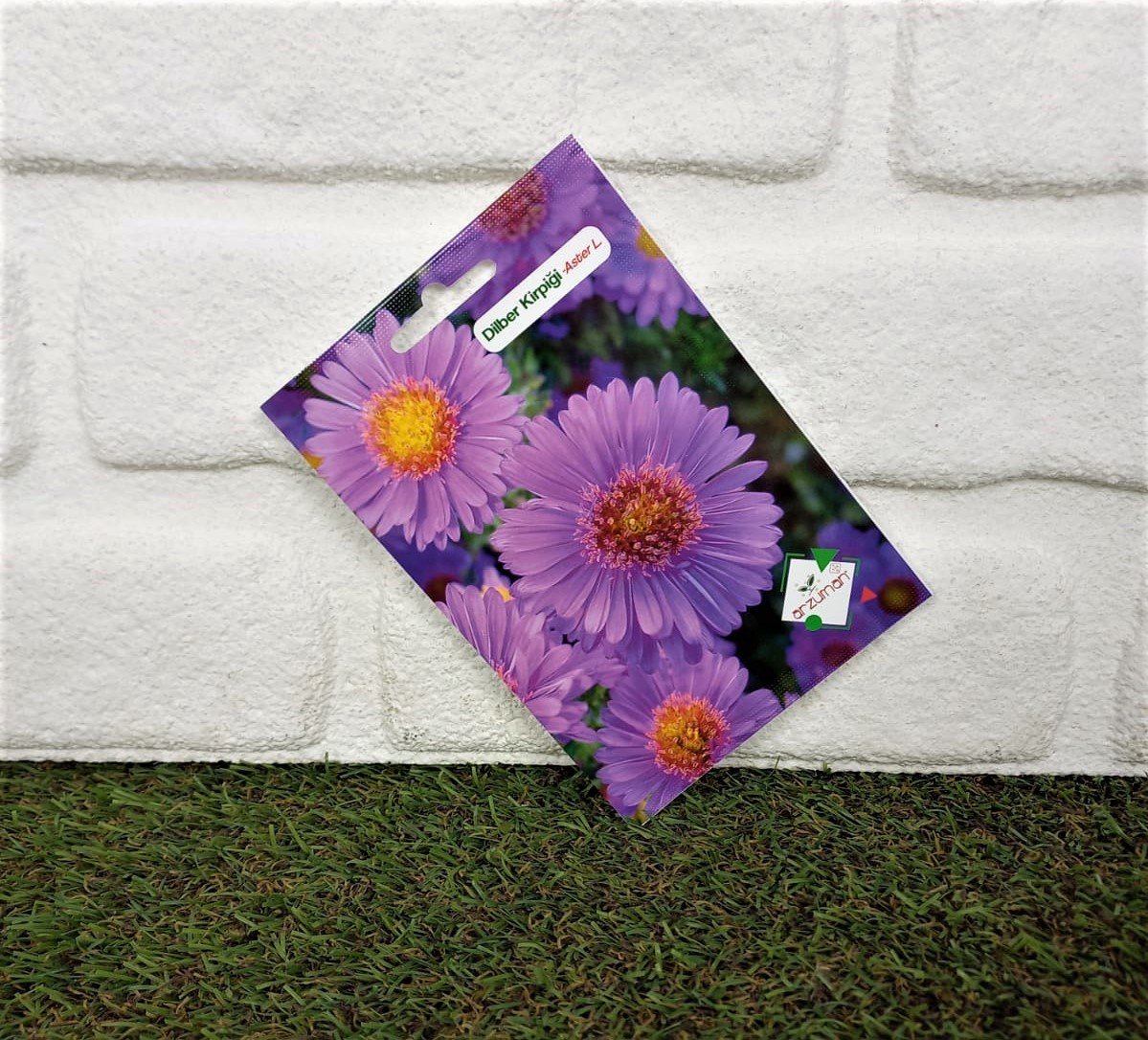 Dilber Kirpiği Çiçeği Tohumu 1 Paket (50 Adet Tohum) Çiçek Tohumları