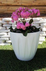 Renkli Saksı 3 LT 1 Adet Beyaz Renk Papatya Model Plastik Tabaklı Çiçek Saksısı