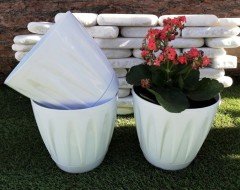 Renkli Saksı 3 LT 1 Adet Beyaz Renk Papatya Model Plastik Tabaklı Çiçek Saksısı