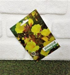 Ezan Çiçeği Tohumu 1 Paket (100 Adet Tohum) Çiçek Tohumları