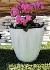 Renkli Saksı 3 LT 3 Adet Beyaz Renk Papatya Model Plastik Tabaklı Çiçek Saksısı