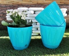 Renkli Saksı 3 LT 2 Adet Turkuaz Renk Papatya Model Plastik Tabaklı Çiçek Saksısı