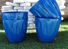 Renkli Saksı 3 LT 1 Adet Mavi Renk Papatya Model Plastik Tabaklı Çiçek Saksısı