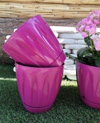 Renkli Saksı 3 LT 3 Adet Vişne Renk Papatya Model Plastik Tabaklı Çiçek Saksısı