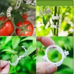 Domates Klipsi 50 Adet Sera Bitki Klipsi Sebze Klipsi Domates Kelepçesi