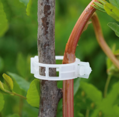 Domates Klipsi Adet Seçiniz Sera Bitki Klipsi Sebze Klipsi