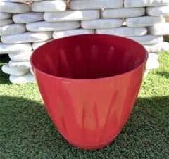 Renkli Saksı 3 LT 3 Adet Kırmızı Renk Papatya Model Plastik Tabaklı Çiçek Saksısı