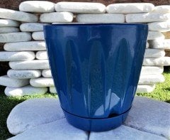 Renkli Saksı 6 LT 1 Adet Mavi Renk Papatya Model Plastik Tabaklı Çiçek Saksısı