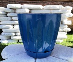 Renkli Saksı 6 LT 2 Adet Mavi Renk Papatya Model Plastik Tabaklı Çiçek Saksısı