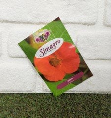 Laden Çiçeği Tohumu 1 Paket (6 Adet Tohum) Çiçek Tohumları
