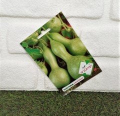 Su/et Kabağı Çiçeği Tohumu 1 Paket (5 Adet Tohum) Çiçek Tohumları