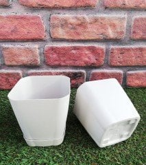 Renkli Saksı 0,8 LT 3  Adet Krem Renk Safir Model Kare Saksı Tabaklı Saksı