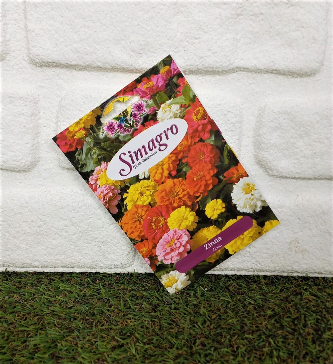 Zinna Çiçeği Tohumu 1 Paket (30 Adet Tohum) Çiçek Tohumları