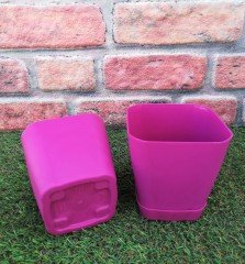 Renkli Saksı 0,8 LT 3  Adet Vişne Renk Safir Model Kare Saksı Tabaklı Saksı