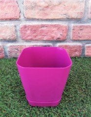 Renkli Saksı 0,8 LT 3  Adet Vişne Renk Safir Model Kare Saksı Tabaklı Saksı