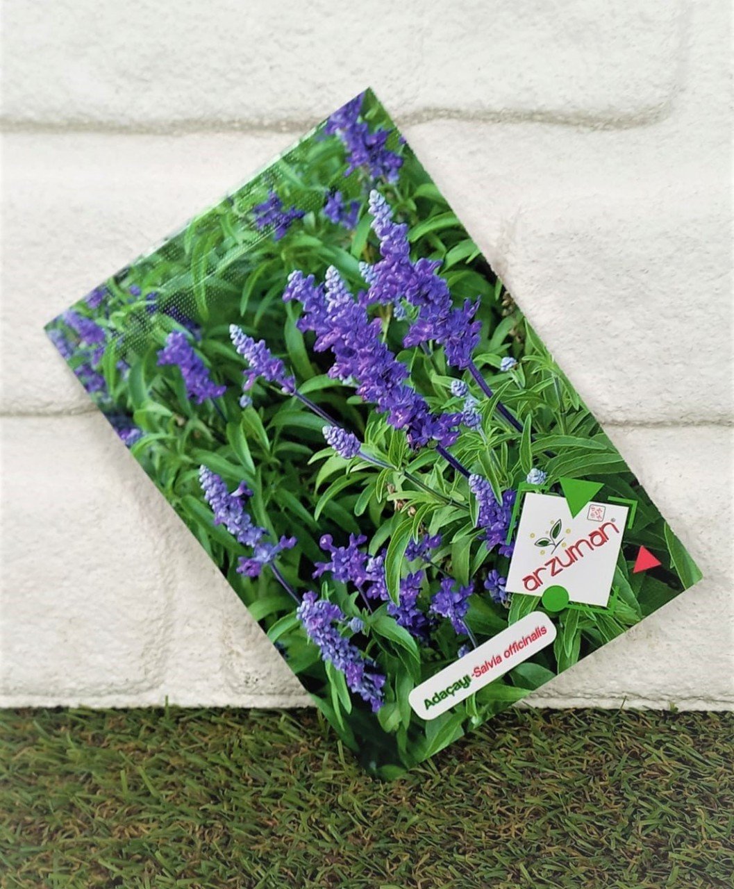 Adaçayı Tohumu 1 Paket (50 Adet Tohum)