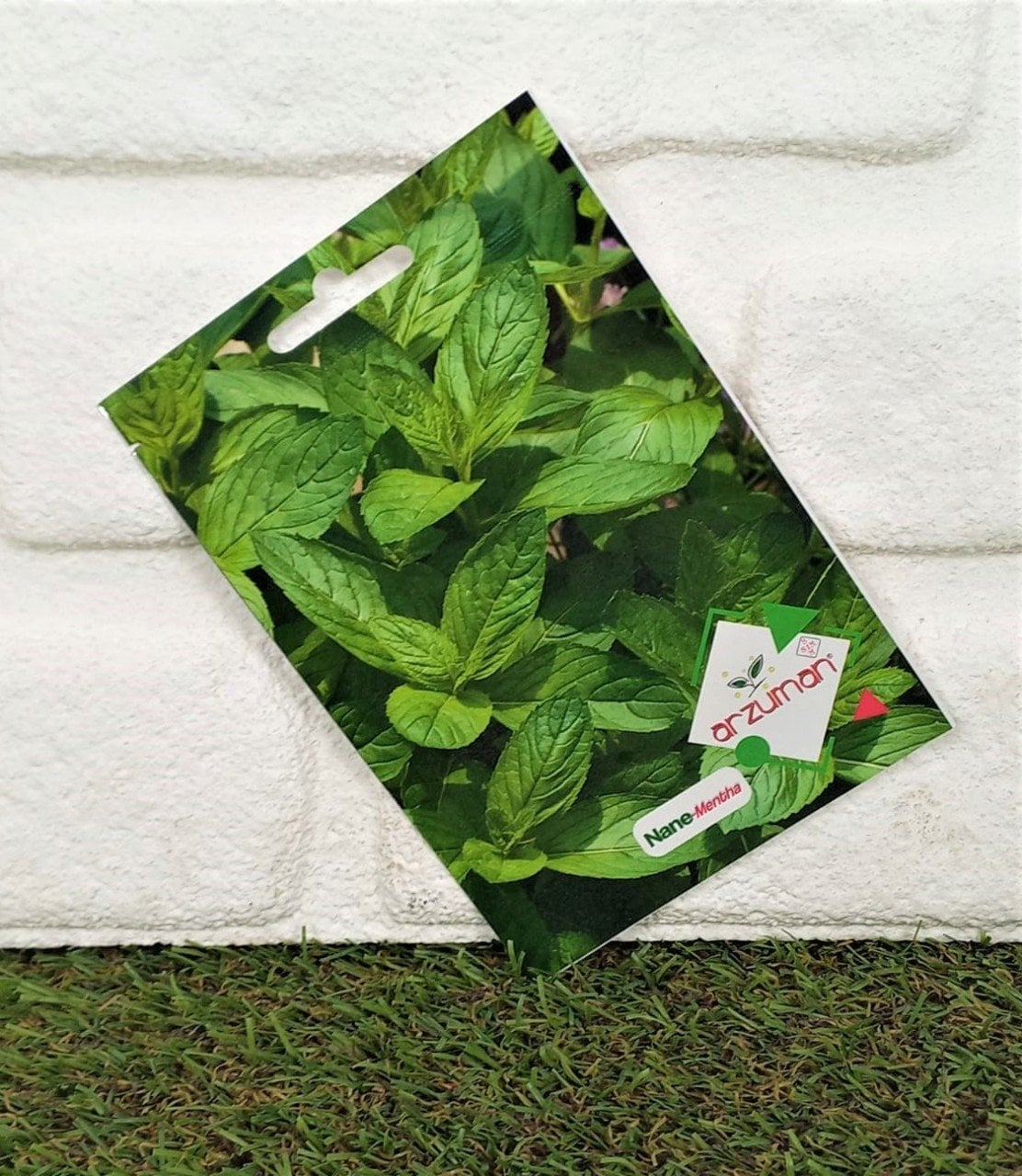 Nane Tohumu 1 Paket (100 Adet Tohum)