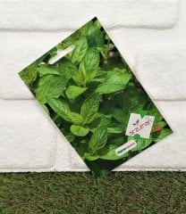 Nane Tohumu 1 Paket (100 Adet Tohum)