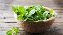 Nane Tohumu 1 Paket (100 Adet Tohum)