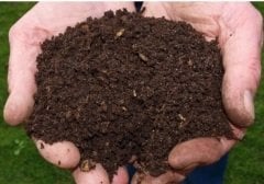 Koyun Gübresi 15 Kg Yanmış Kokusuz Gübre