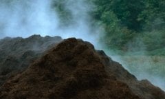 Koyun Gübresi 25 Kg Yanmış Kokusuz Gübre