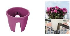 Renkli Saksı 7,5 LT 2 Adet Vişne Renk Zümrüt Model Plastik Çiçek Saksısı