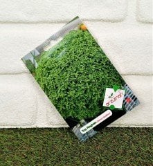 Top Reyhan Tohumu 1 Paket (100 Adet Tohum) Tıbbi Aromatik Çiçek Tohumu