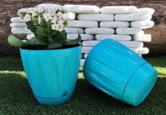 Renkli Saksı 6 LT 3 Adet Turkuaz Renk Papatya Model Plastik Tabaklı Çiçek Saksısı