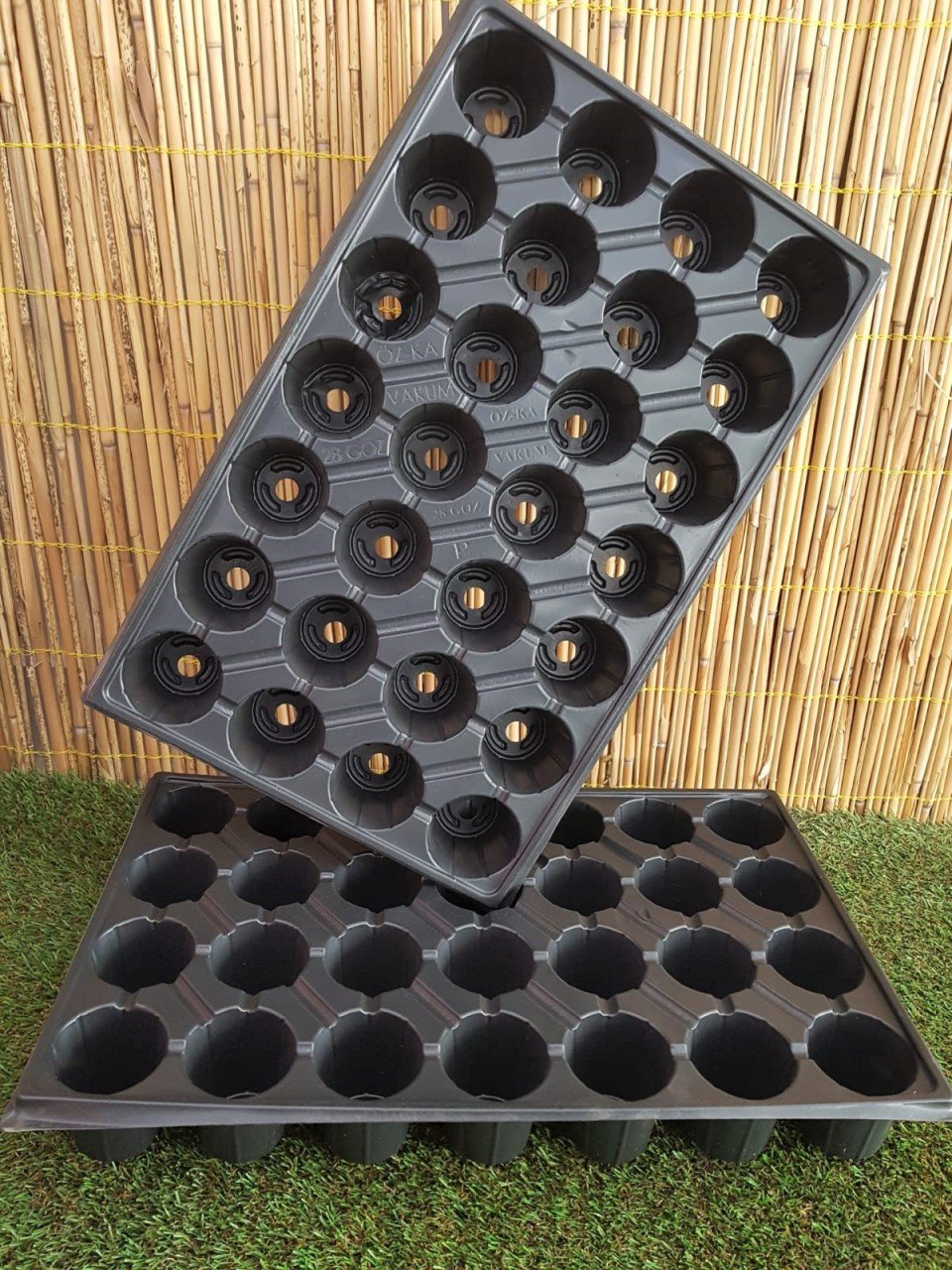 Fide Viyolü 28 Gözlü 10 Adet Fidan Viyolü Tohum Çimlendirme Kabı