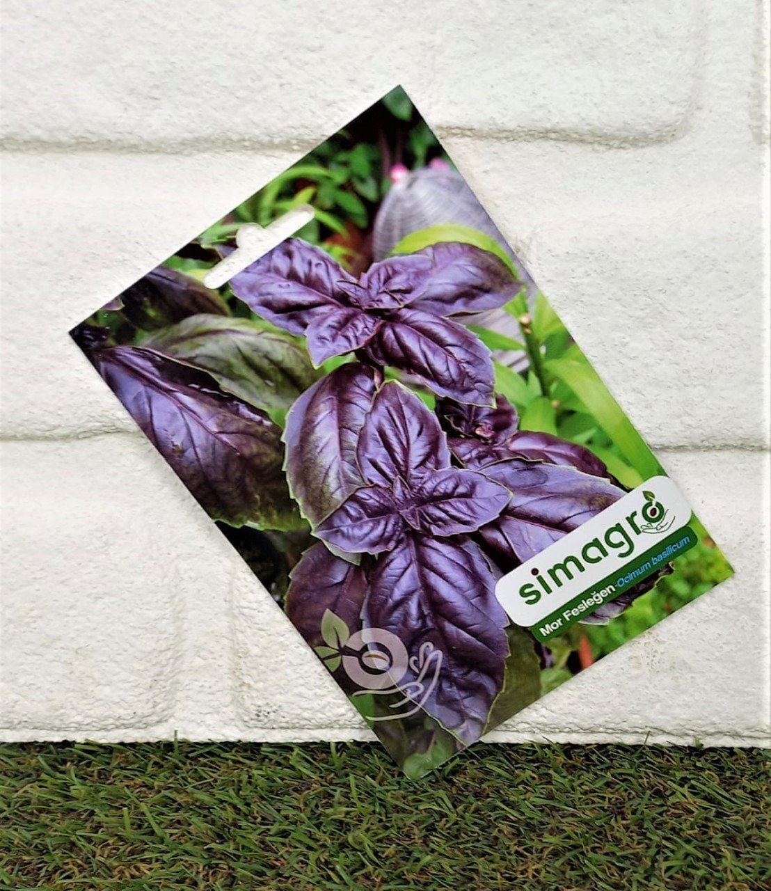 Mor Reyhan  Tohumu 1 Paket (100 Adet Tohum) Tıbbi Aromatik Tohumu