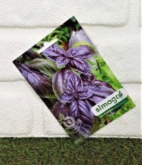 Mor Reyhan  Tohumu 1 Paket (100 Adet Tohum) Tıbbi Aromatik Tohumu