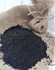 Mor Reyhan  Tohumu 1 Paket (100 Adet Tohum) Tıbbi Aromatik Tohumu