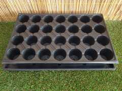 Fide Viyolü 28 Gözlü 20 Adet Fidan Viyolü Tohum Çimlendirme Kabı