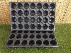 Fide Viyolü 28 Gözlü 25 Adet Fidan Viyolü Tohum Çimlendirme Kabı