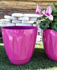 Renkli Saksı 6 LT 1 Adet Vişne Renk Papatya Model Plastik Tabaklı Çiçek Saksısı