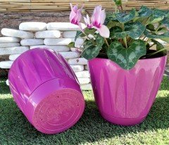 Renkli Saksı 6 LT 2 Adet Vişne Renk Papatya Model Plastik Tabaklı Çiçek Saksısı