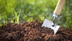 Büyükbaş Hayvan Gübresi 20 Kg Yanmış Kokusuz Gübre