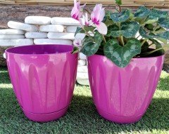 Renkli Saksı 6 LT 3 Adet Vişne Renk Papatya Model Plastik Tabaklı Çiçek Saksısı