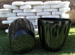 Renkli Saksı 6 LT 3 Adet Siyah Renk Papatya Model Plastik Tabaklı Çiçek Saksısı