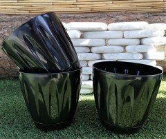 Renkli Saksı 6 LT 3 Adet Siyah Renk Papatya Model Plastik Tabaklı Çiçek Saksısı