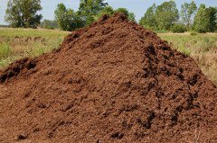 Büyükbaş Hayvan Gübresi 5 Kg Yanmış Kokusuz Gübre