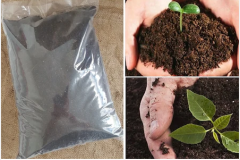 Çim Kapak Toprağı 10 Kg Çim Ekim Toprağı