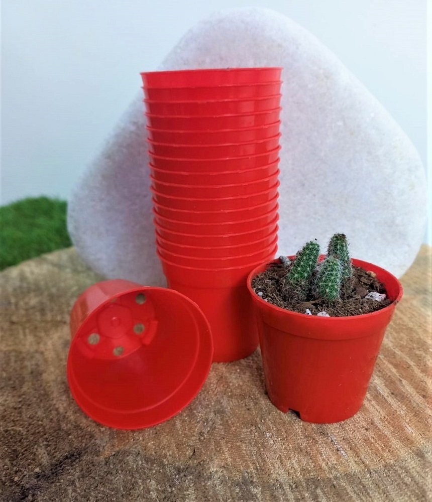 Kırmızı Renk Kaktüs Üretim Saksısı 50 Adet 5,5x5 CM Renkli Küçük Saksı
