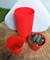 Kırmızı Renk Kaktüs Üretim Saksısı 50 Adet 5,5x5 CM Renkli Küçük Saksı