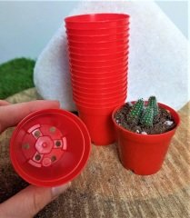 Kırmızı Renk Kaktüs Üretim Saksısı 50 Adet 5,5x5 CM Renkli Küçük Saksı