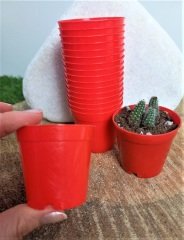 Kırmızı Renk Kaktüs Üretim Saksısı 100 Adet 5,5x5 CM Renkli Küçük Saksı