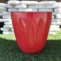 Renkli Saksı 6 LT 3 Adet Kırmızı Renk Papatya Model Plastik Tabaklı Çiçek Saksısı