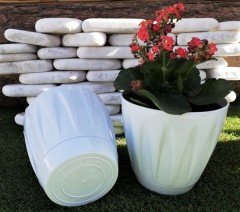 Renkli Saksı 6 LT 3 Adet Beyaz Renk Papatya Model Plastik Tabaklı Çiçek Saksısı