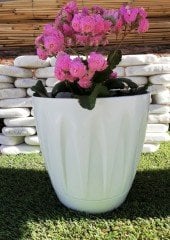 Renkli Saksı 6 LT 2  Adet Beyaz Renk Papatya Model Plastik Tabaklı Çiçek Saksısı